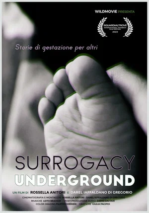 Постер: Surrogacy Underground