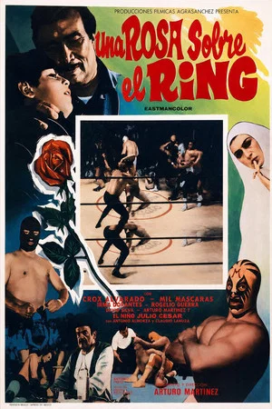 Постер: A Rose in the Ring
