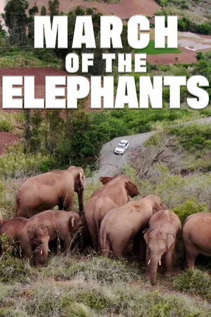 Постер: March of the Elephants