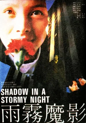 Постер: Shadow in a Stormy Night
