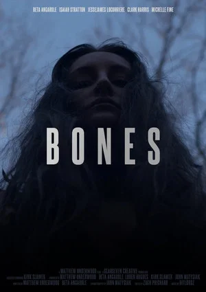 Постер: Bones