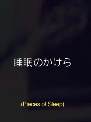 Постер: Pieces Of Sleep: The 1993 Japan Tour Re-Imagined