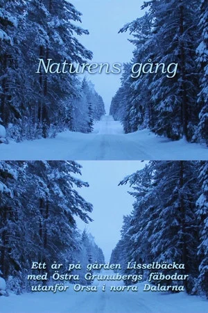 Постер: Way of Nature