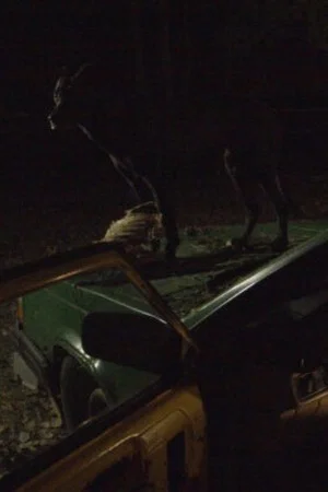 Постер: Nothing Runs Like a Deere