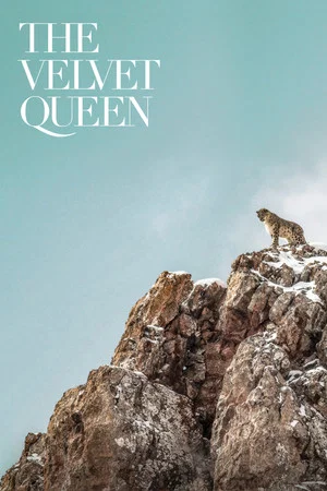 Постер: The Velvet Queen