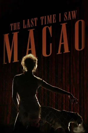 Постер: The Last Time I Saw Macao