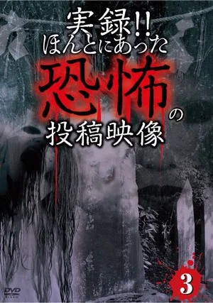 Постер: Actual Record! Real Horror Posted Video 3