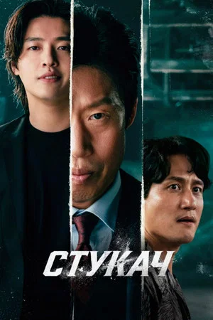 Постер: Стукач
