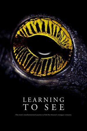 Постер: Learning To See
