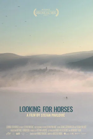 Постер: Looking for Horses