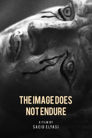 Постер: The image does not endure