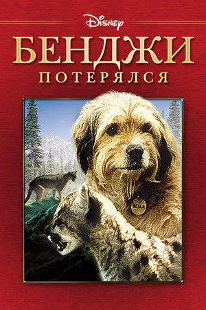 Постер: Бенджи потерялся