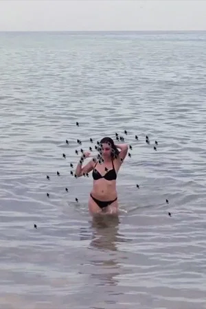 Постер: Hot Beach Babe Aims to Please