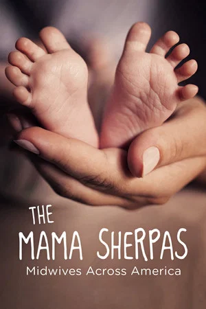 Постер: The Mama Sherpas