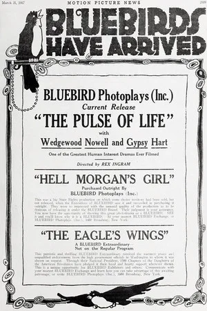 Постер: The Pulse of Life