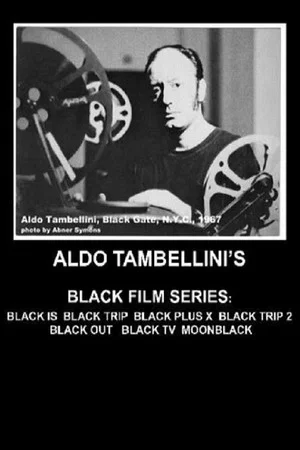 Постер: Black TV