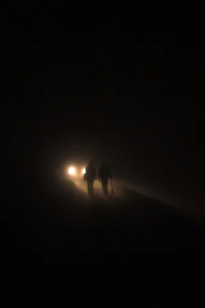 Постер: The Wolves
