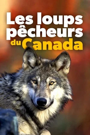Постер: Les loups pêcheurs du Canada