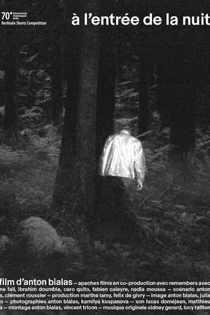 Постер: At the Entrance of the Night