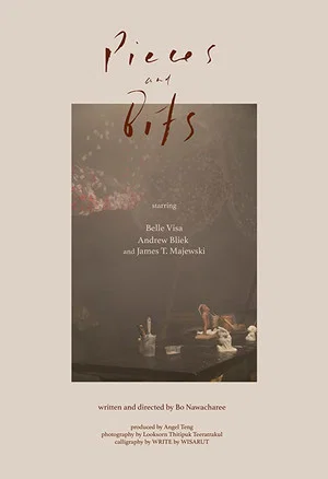 Постер: Pieces & Bits