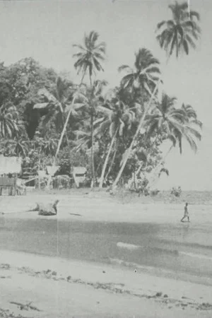 Постер: Bougainville