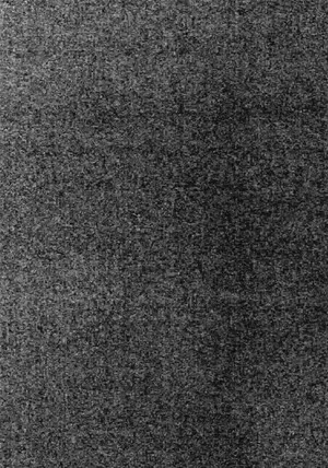Постер: Catatonik