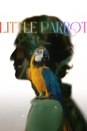 Постер: Little Parrot