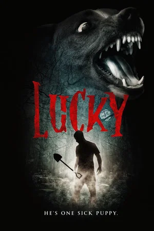 Постер: Lucky