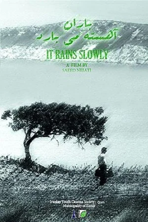 Постер: It Rains Slowly