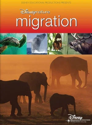 Постер: Disneynature: Migration