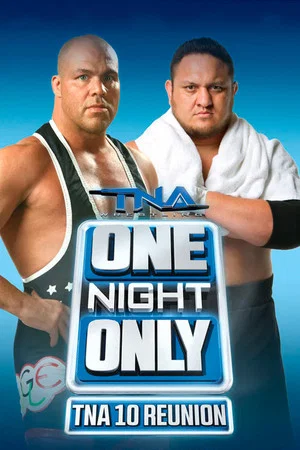 Постер: TNA One Night Only: 10 Reunion 2013