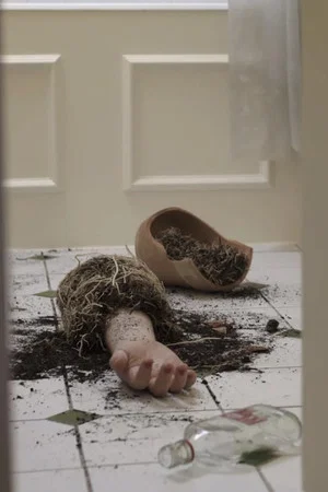 Постер: Seeds of Love