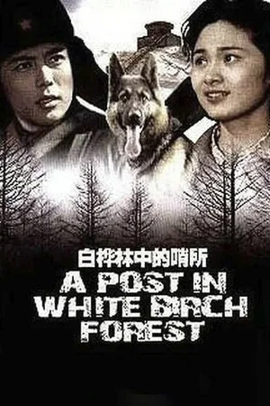 Постер: A Post in White Birch Forest