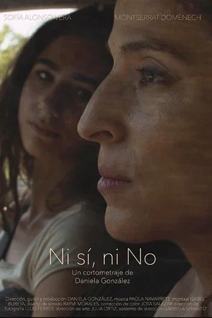 Постер: Ni sí, ni no