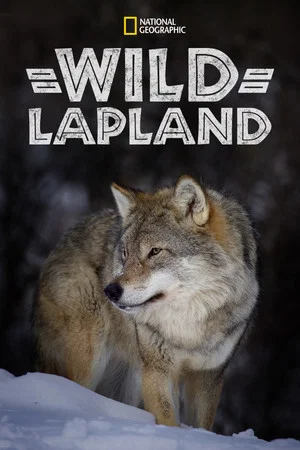 Постер: Wild Lapland