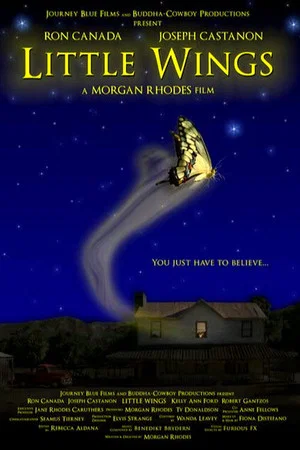Постер: Little Wings
