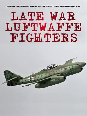Постер: Late War Fighters of the Luftwaffe