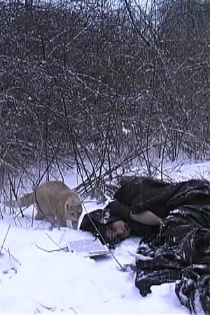 Постер: Psycho Pussy Slaughter