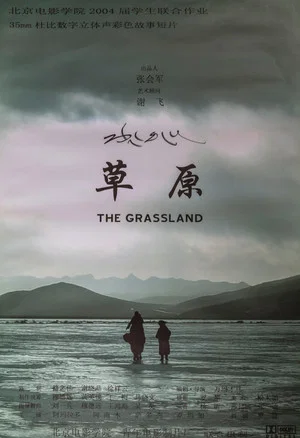 Постер: The Grassland