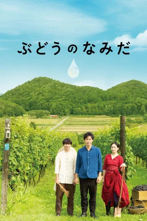 Постер: A Drop of the Grapevine