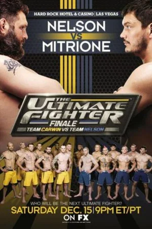 Постер: The Ultimate Fighter 16 Finale