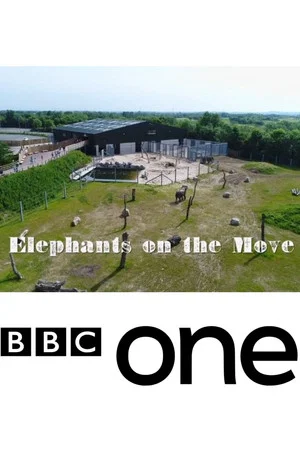 Постер: Elephants on the Move
