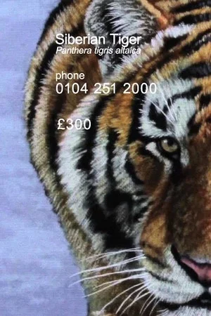 Постер: Siberian Tiger