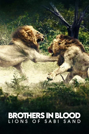 Постер: Brothers in Blood: The Lions of Sabi Sand