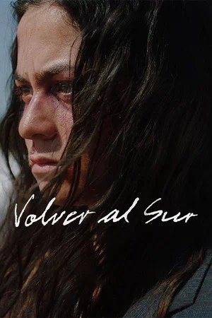 Постер: Volver al Sur