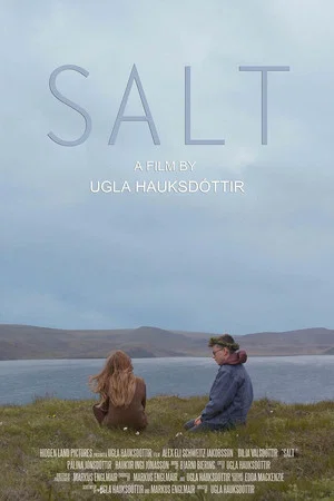 Постер: Salt