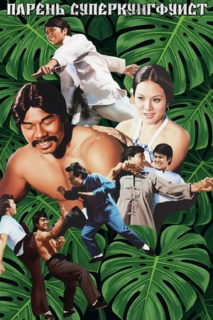 Постер: Super Kung Fu Kid
