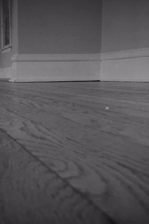 Постер: The House Is Empty