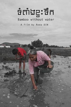 Постер: Bamboo without Water
