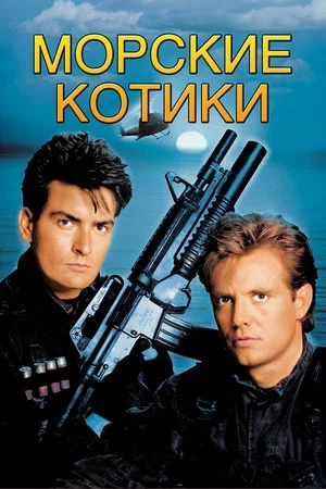 Постер: Морские котики